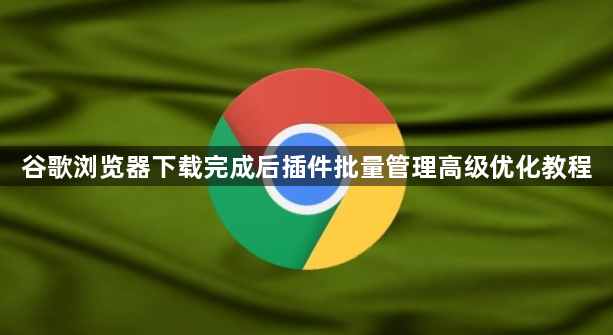谷歌浏览器下载完成后插件批量管理高级优化教程1