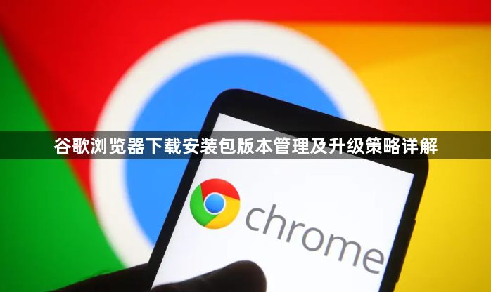 谷歌浏览器下载安装包版本管理及升级策略详解1
