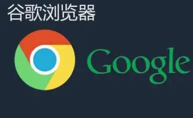 Chrome浏览器极速版下载安装操作技巧-轻量高速版本安装经验